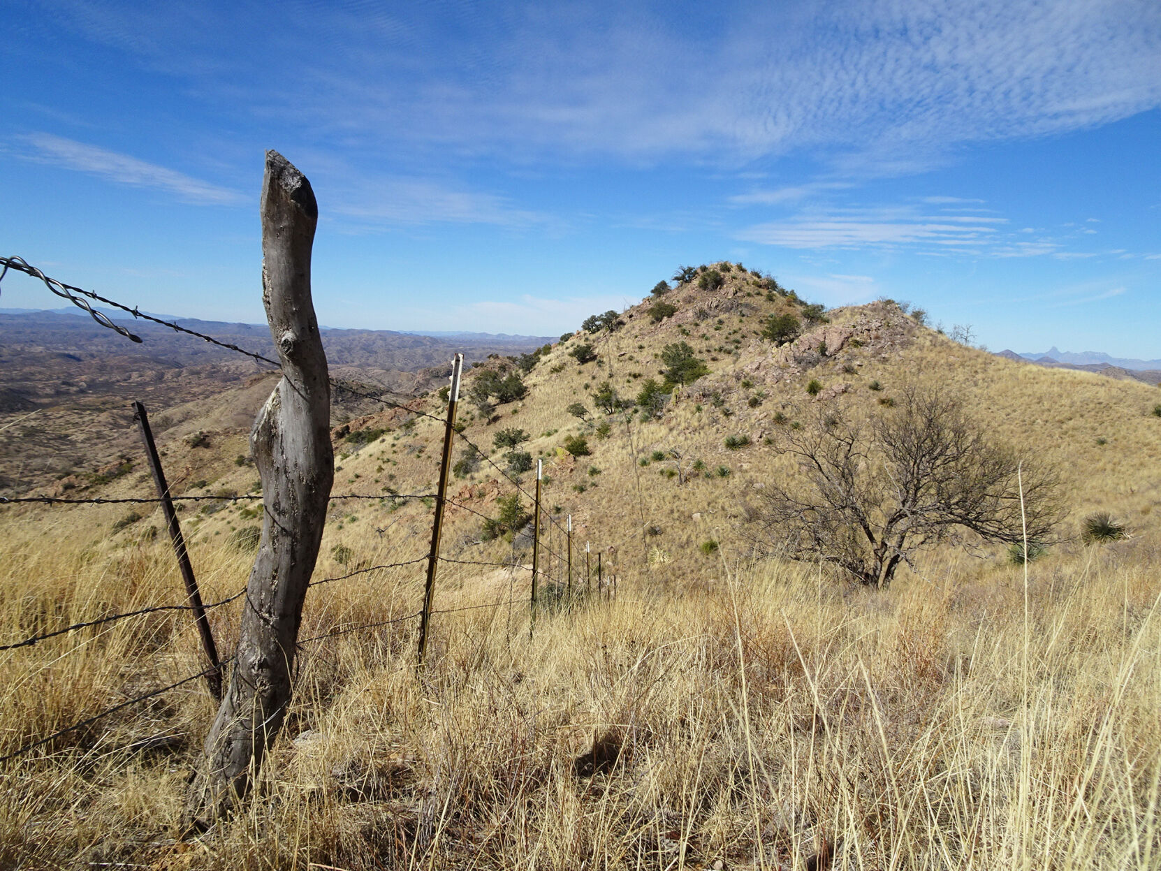 Pajarita Wilderness